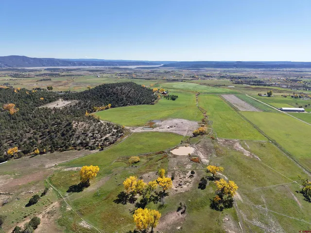 a view of a city with an ocean