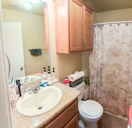 a bathroom with a sink a toilet and a mirror
