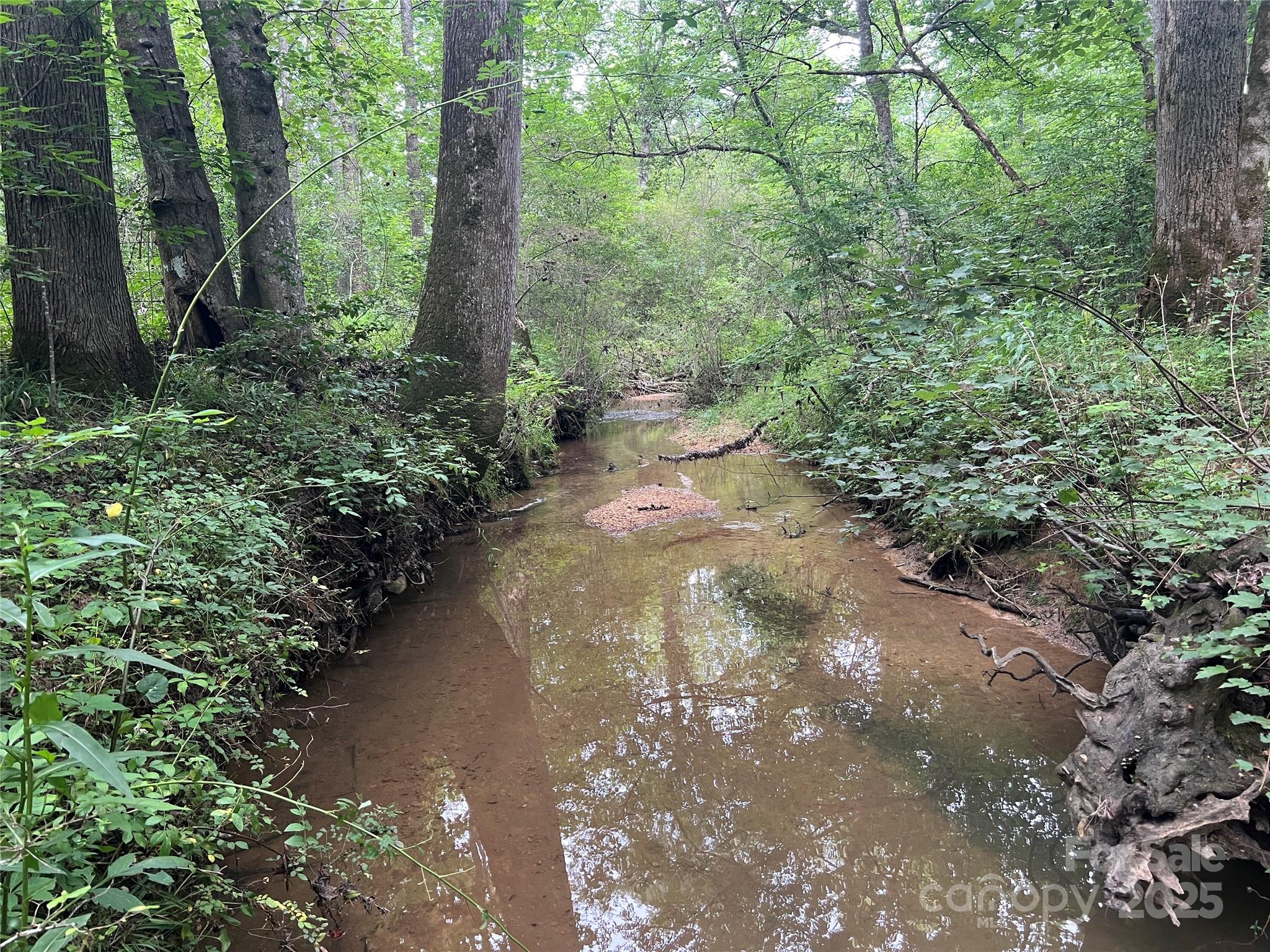 0 Browning View Road Morganton, NC 28655 - Photo 15 of 41 Gallery Image 15