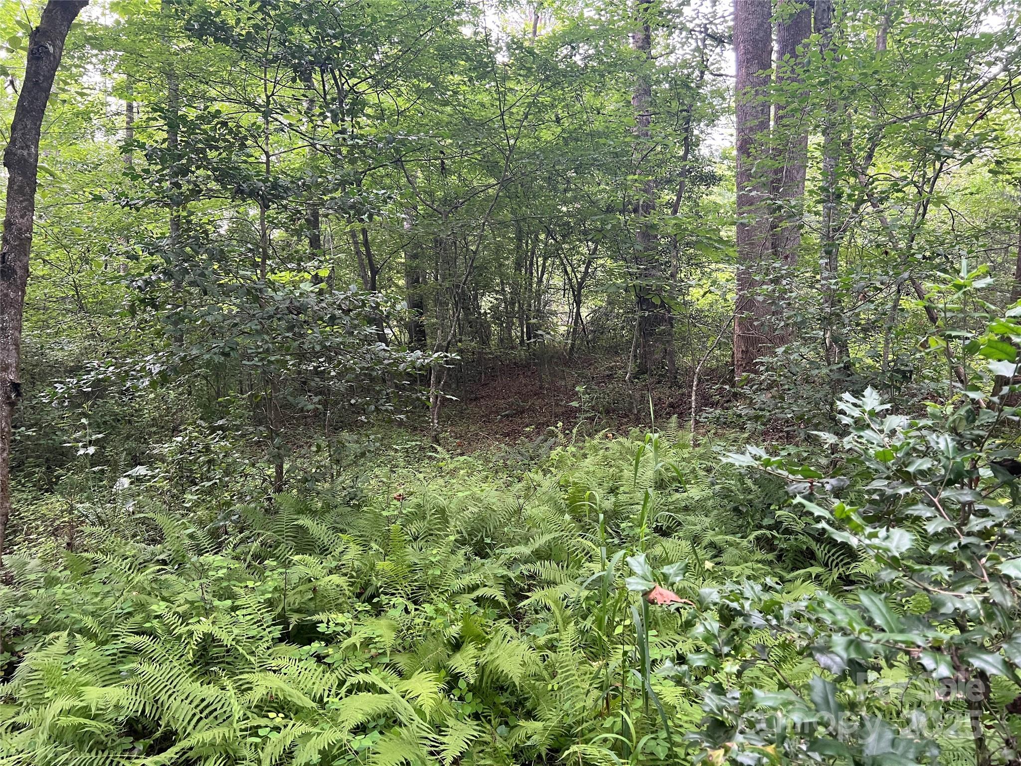 0 Browning View Road Morganton, NC 28655 - Photo 16 of 41 Gallery Image 16