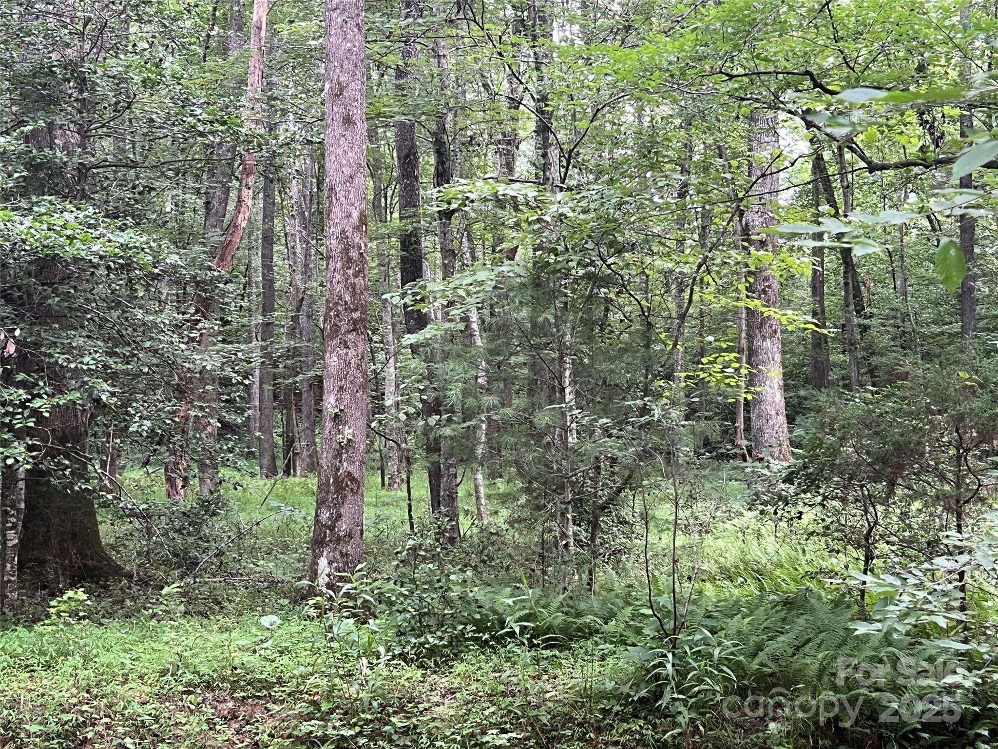 0 Browning View Road Morganton, NC 28655 - Photo 17 of 41 Gallery Image 17