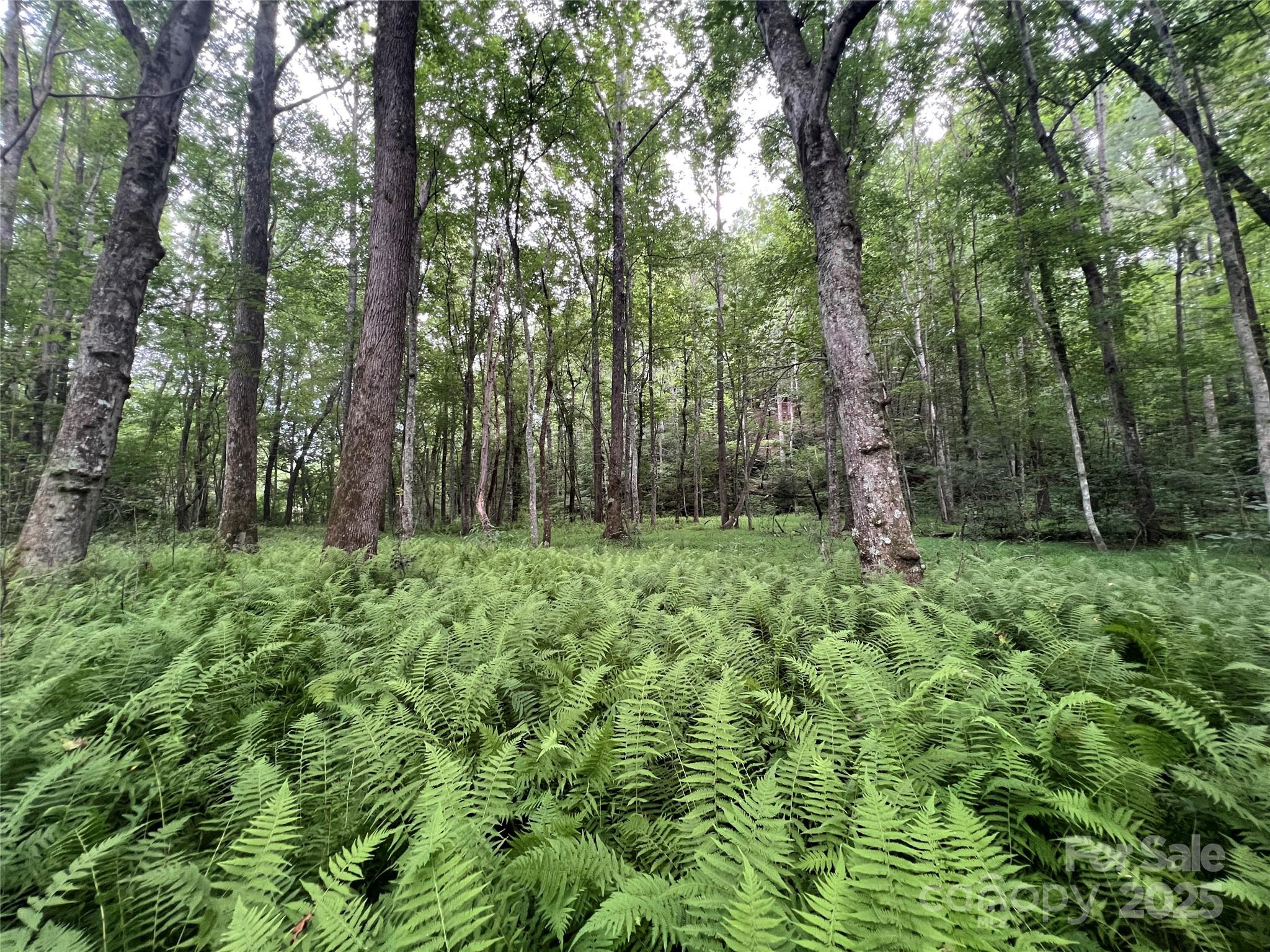 0 Browning View Road Morganton, NC 28655 - Photo 18 of 41 Gallery Image 18