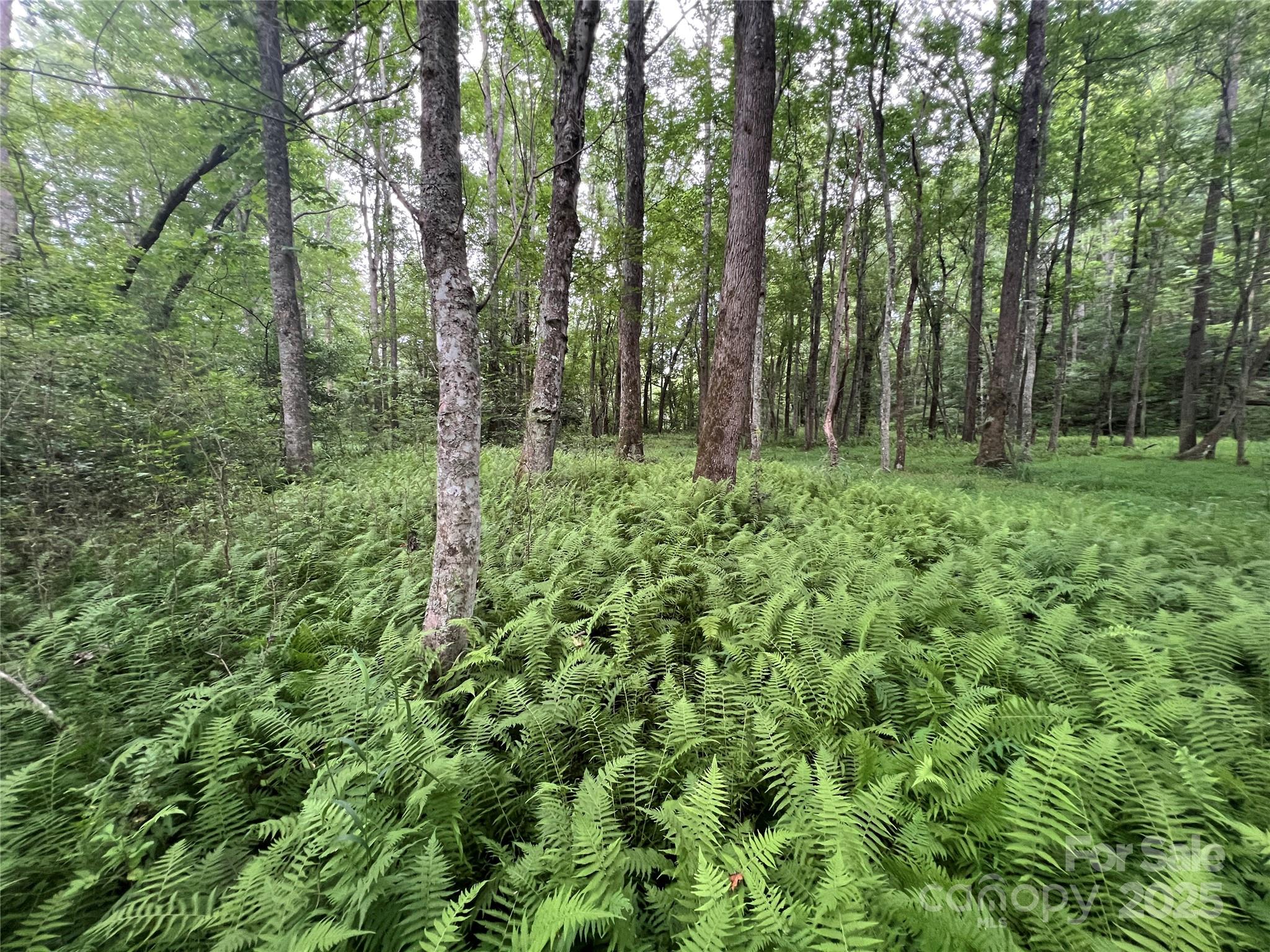 0 Browning View Road Morganton, NC 28655 - Photo 20 of 41 Gallery Image 20