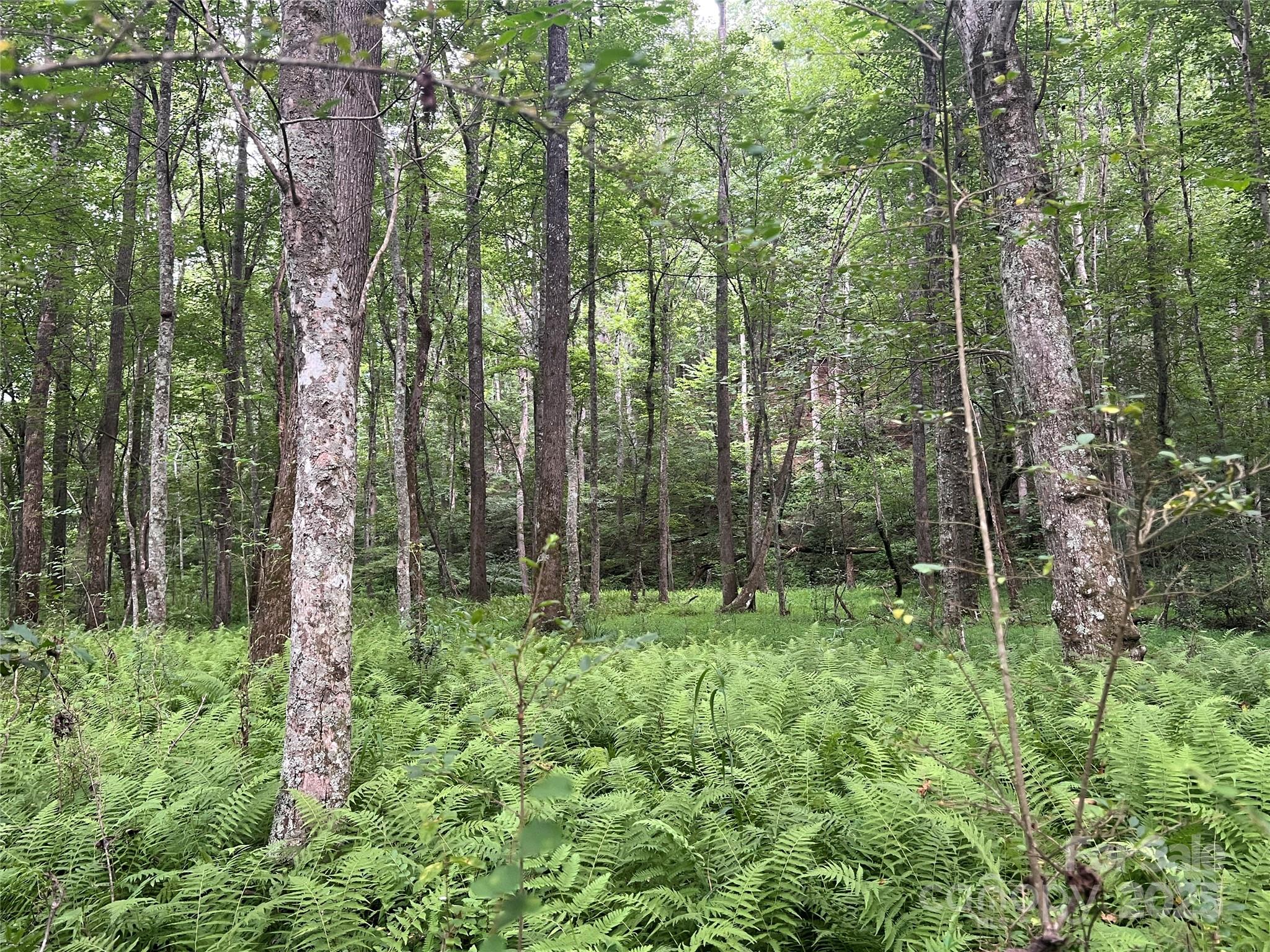 0 Browning View Road Morganton, NC 28655 - Photo 21 of 41 Gallery Image 21