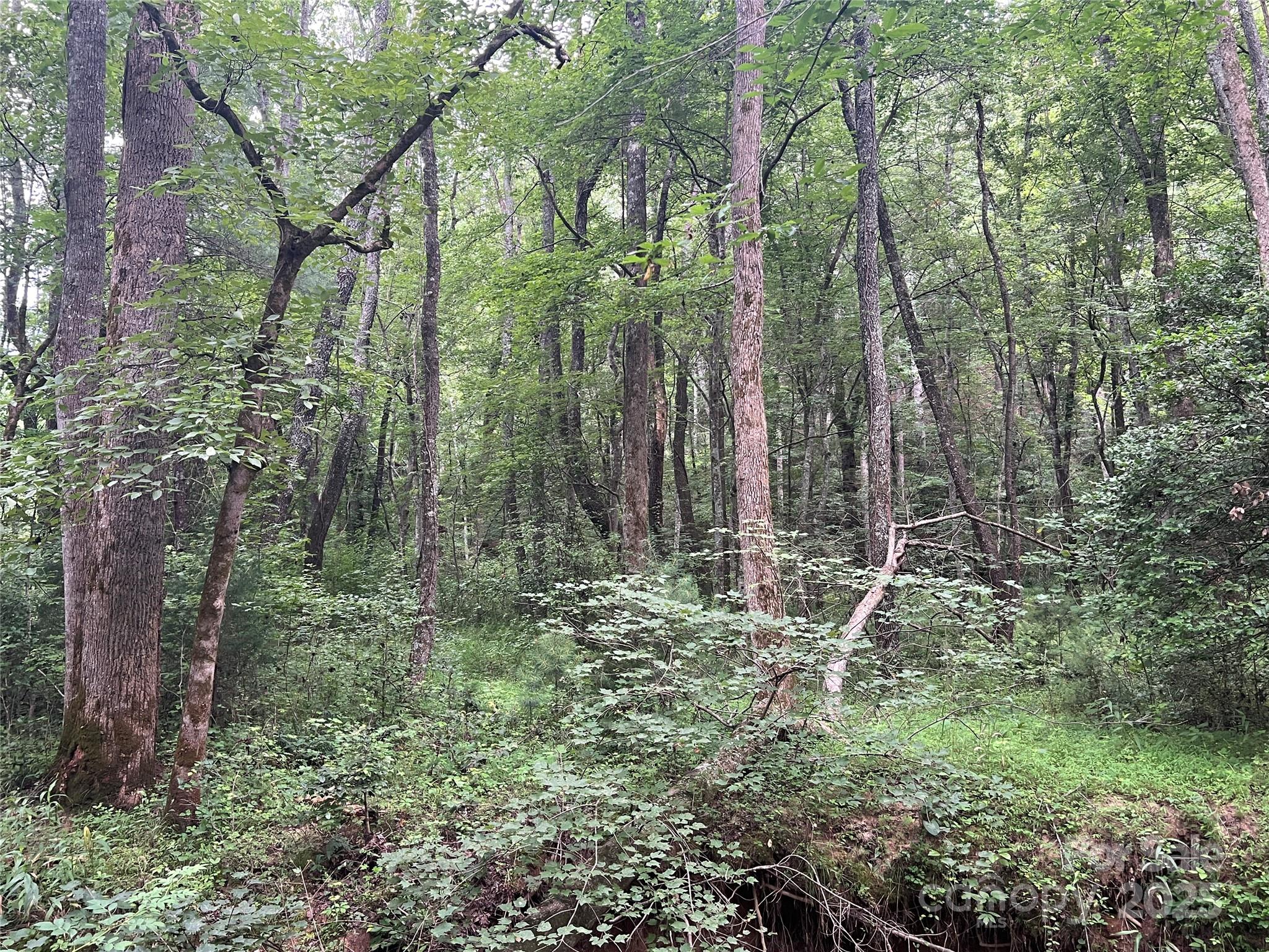 0 Browning View Road Morganton, NC 28655 - Photo 22 of 41 Gallery Image 22