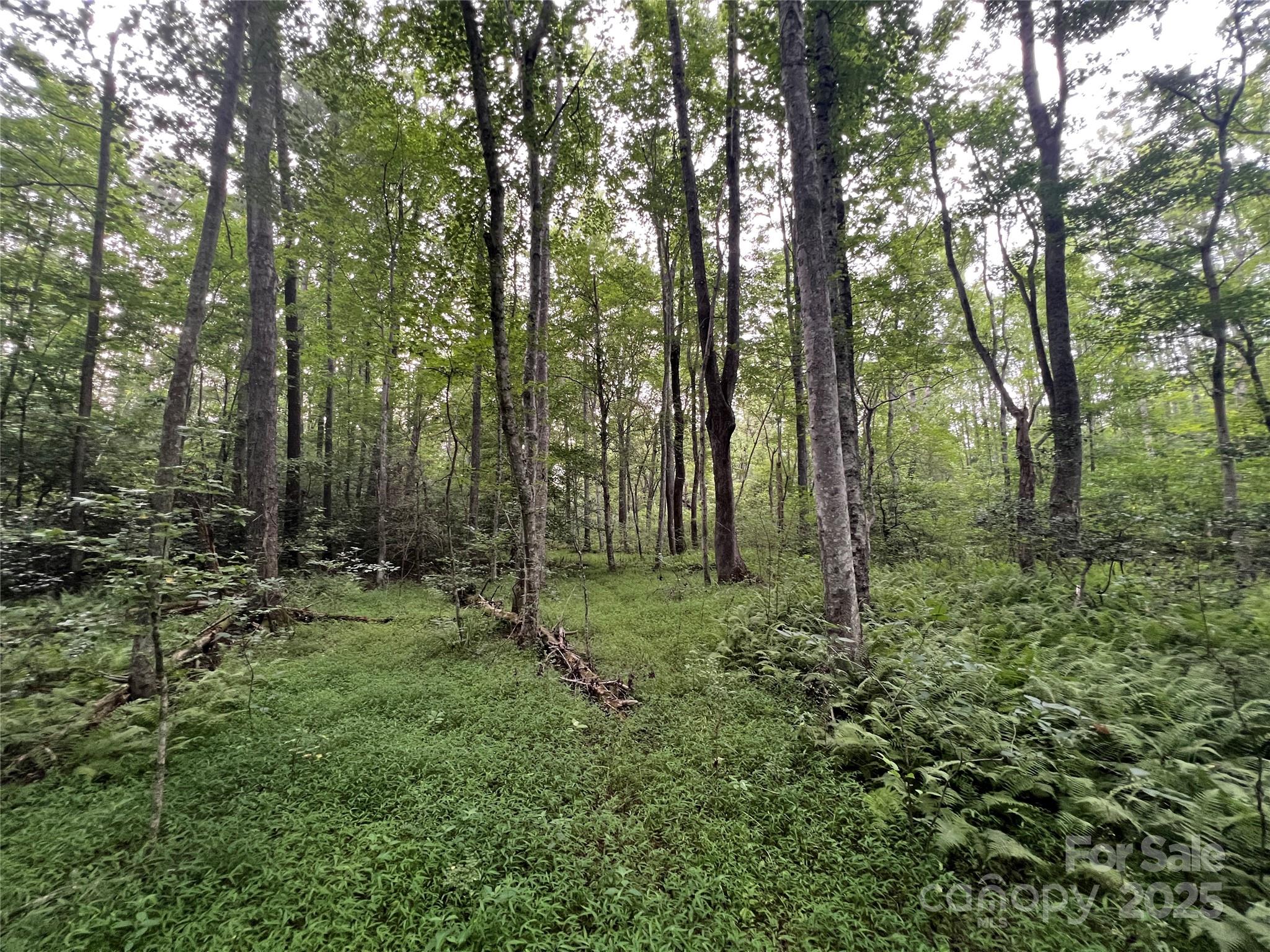 0 Browning View Road Morganton, NC 28655 - Photo 24 of 41 Gallery Image 24