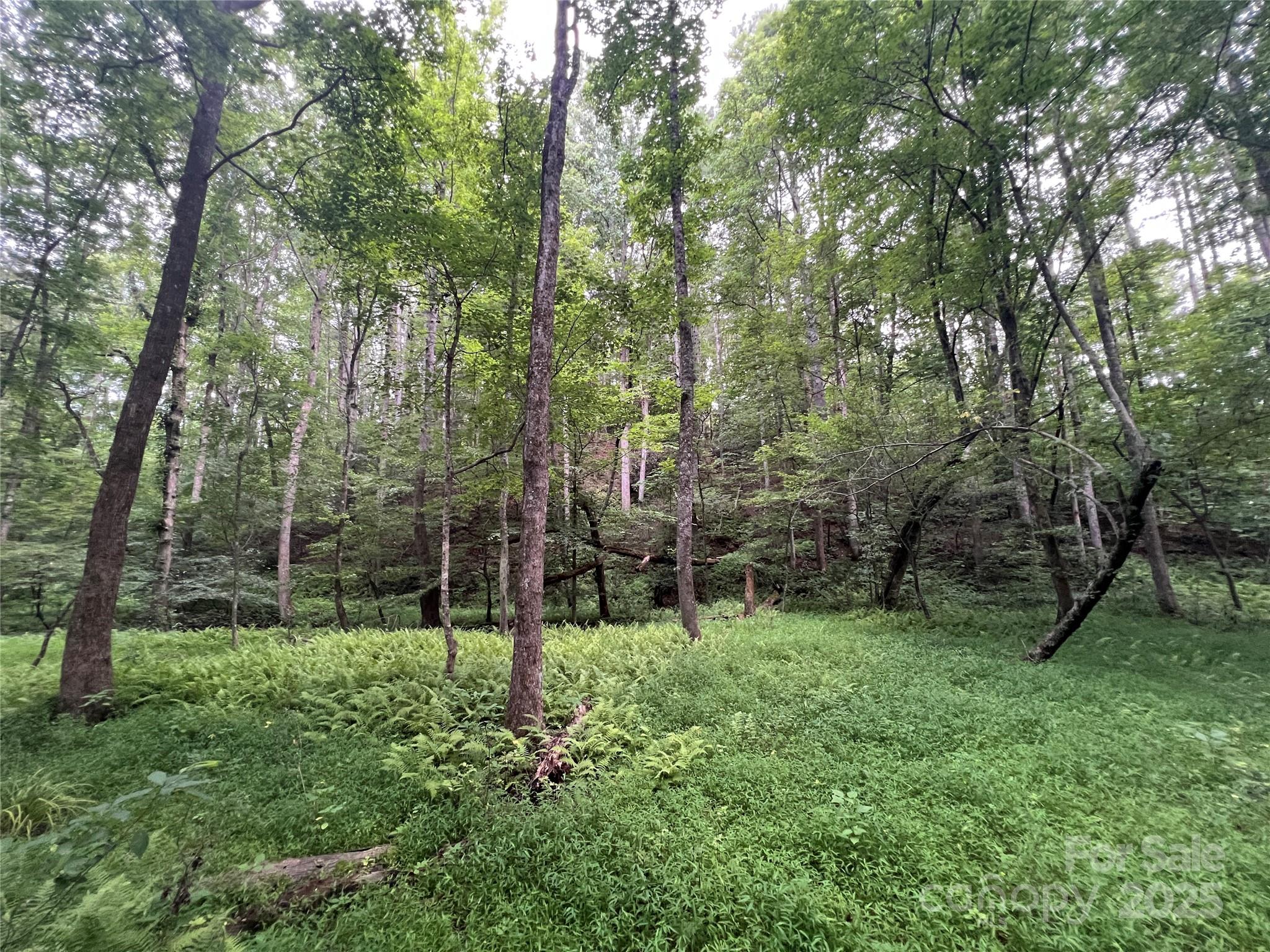 0 Browning View Road Morganton, NC 28655 - Photo 25 of 41 Gallery Image 25