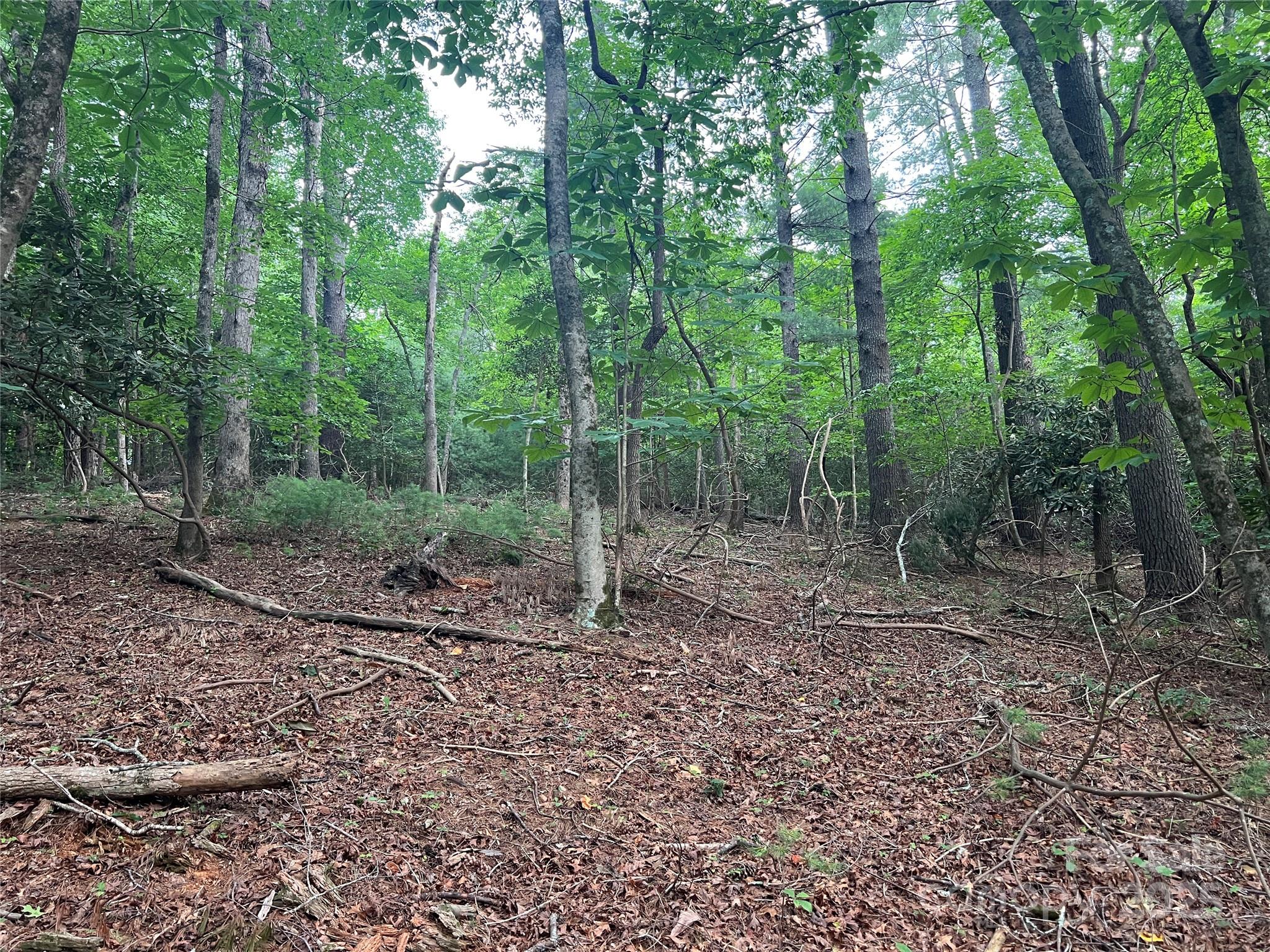 0 Browning View Road Morganton, NC 28655 - Photo 26 of 41 Gallery Image 26