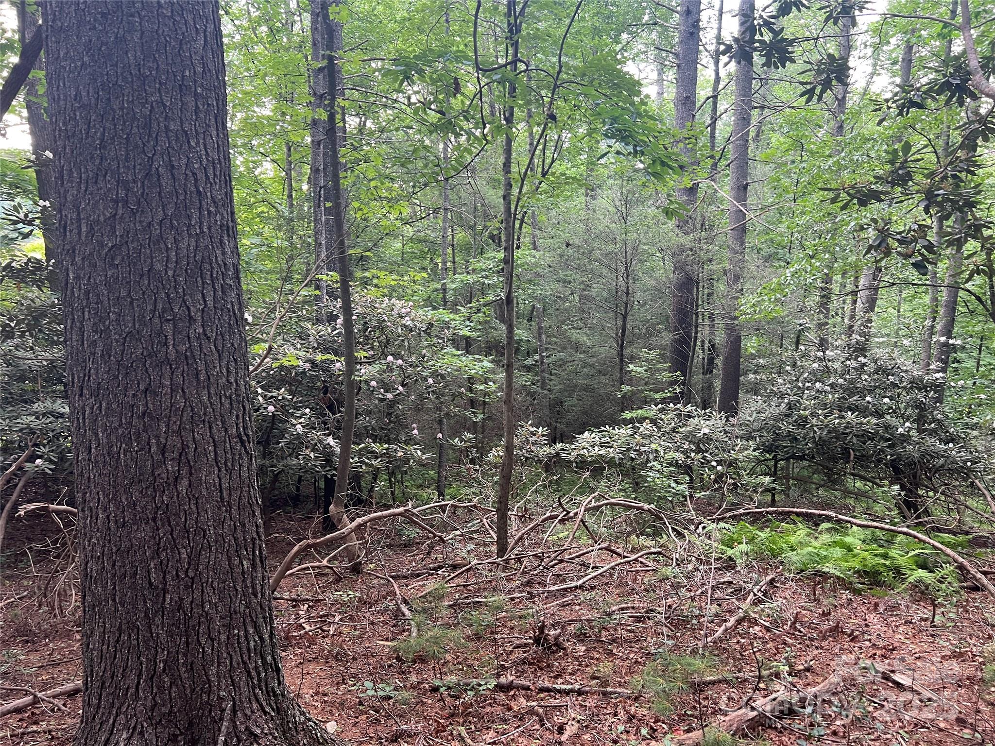 0 Browning View Road Morganton, NC 28655 - Photo 28 of 41 Gallery Image 28
