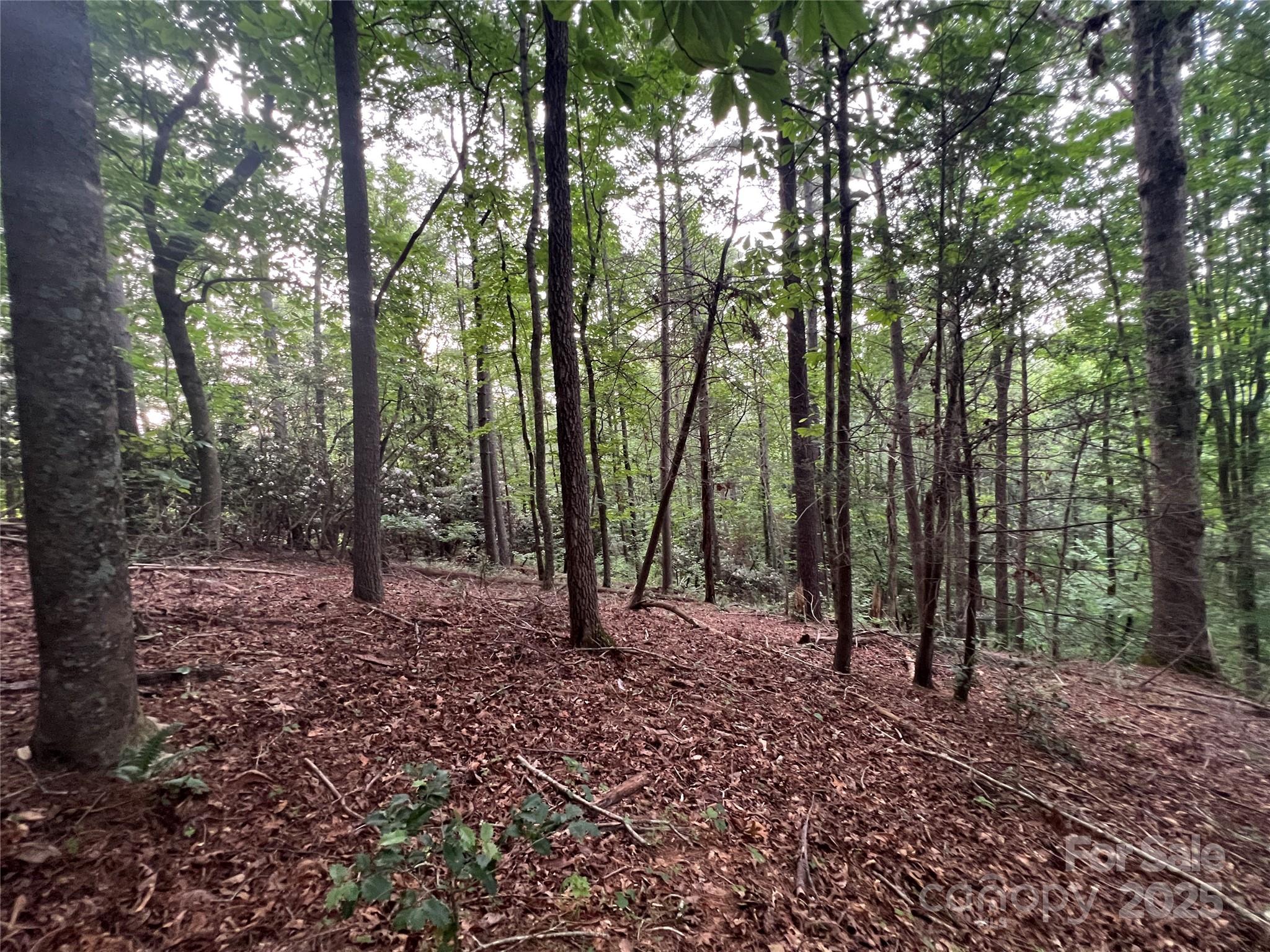 0 Browning View Road Morganton, NC 28655 - Photo 29 of 41 Gallery Image 29