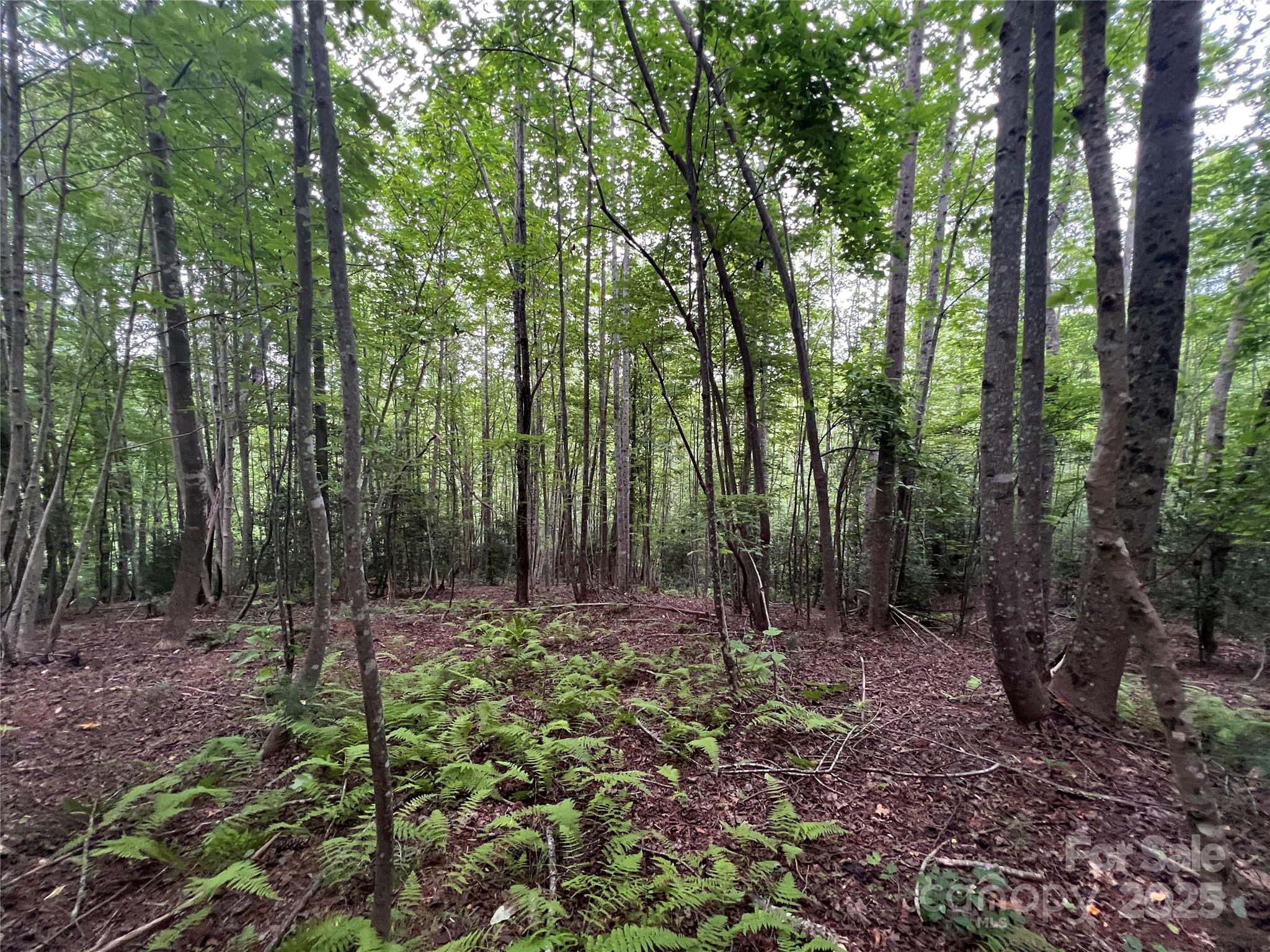 0 Browning View Road Morganton, NC 28655 - Photo 31 of 41 Gallery Image 31