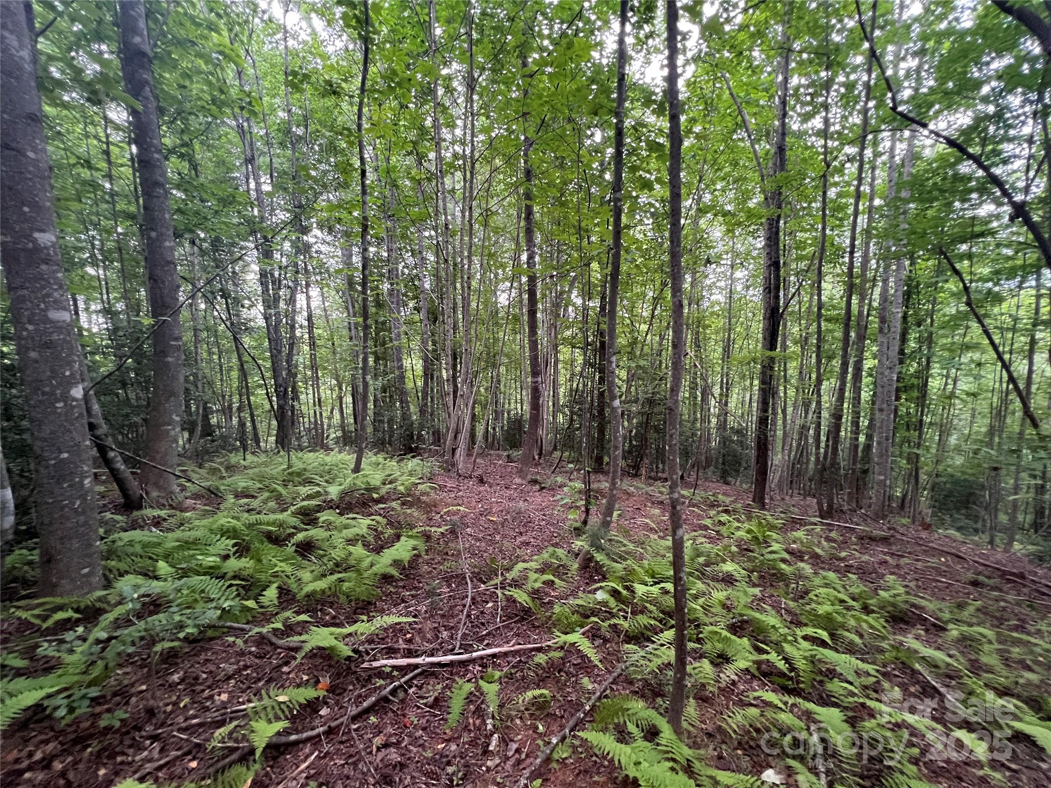 0 Browning View Road Morganton, NC 28655 - Photo 32 of 41 Gallery Image 32