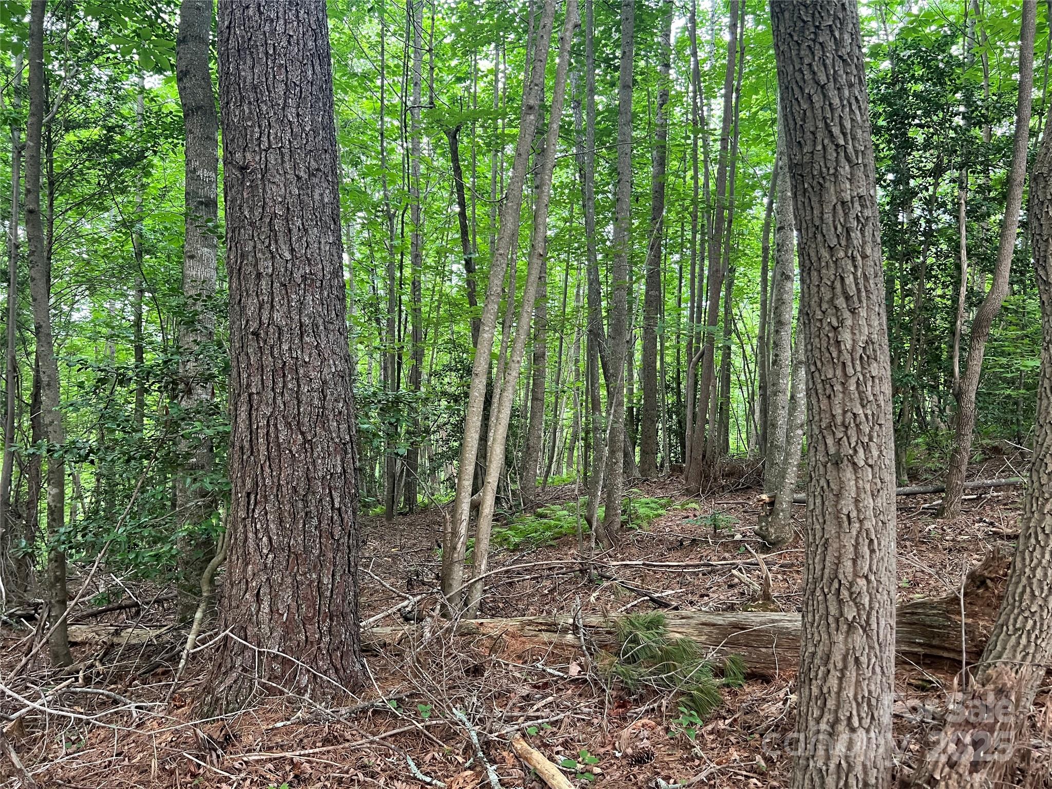 0 Browning View Road Morganton, NC 28655 - Photo 34 of 41 Gallery Image 34