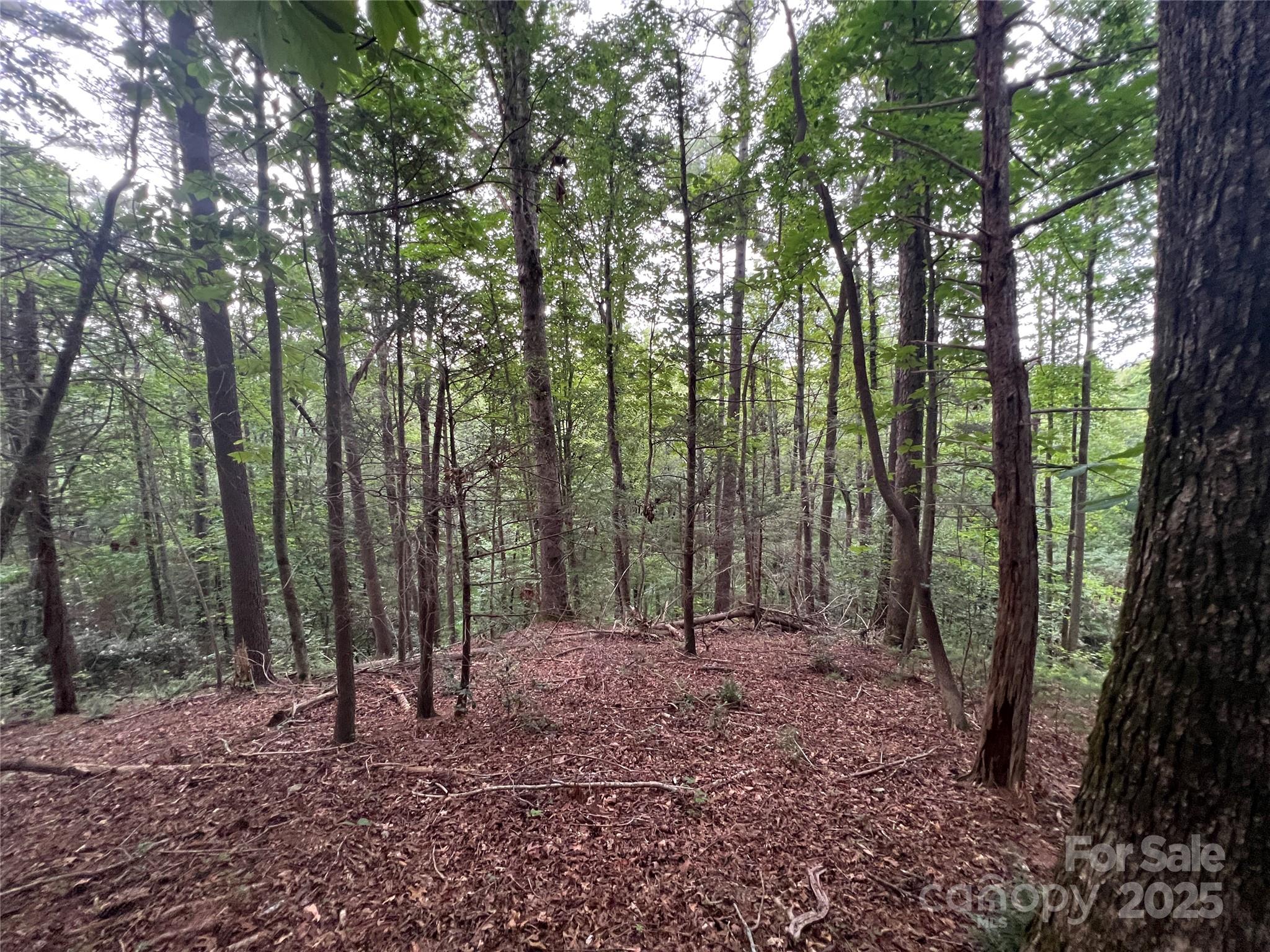 0 Browning View Road Morganton, NC 28655 - Photo 35 of 41 Gallery Image 35