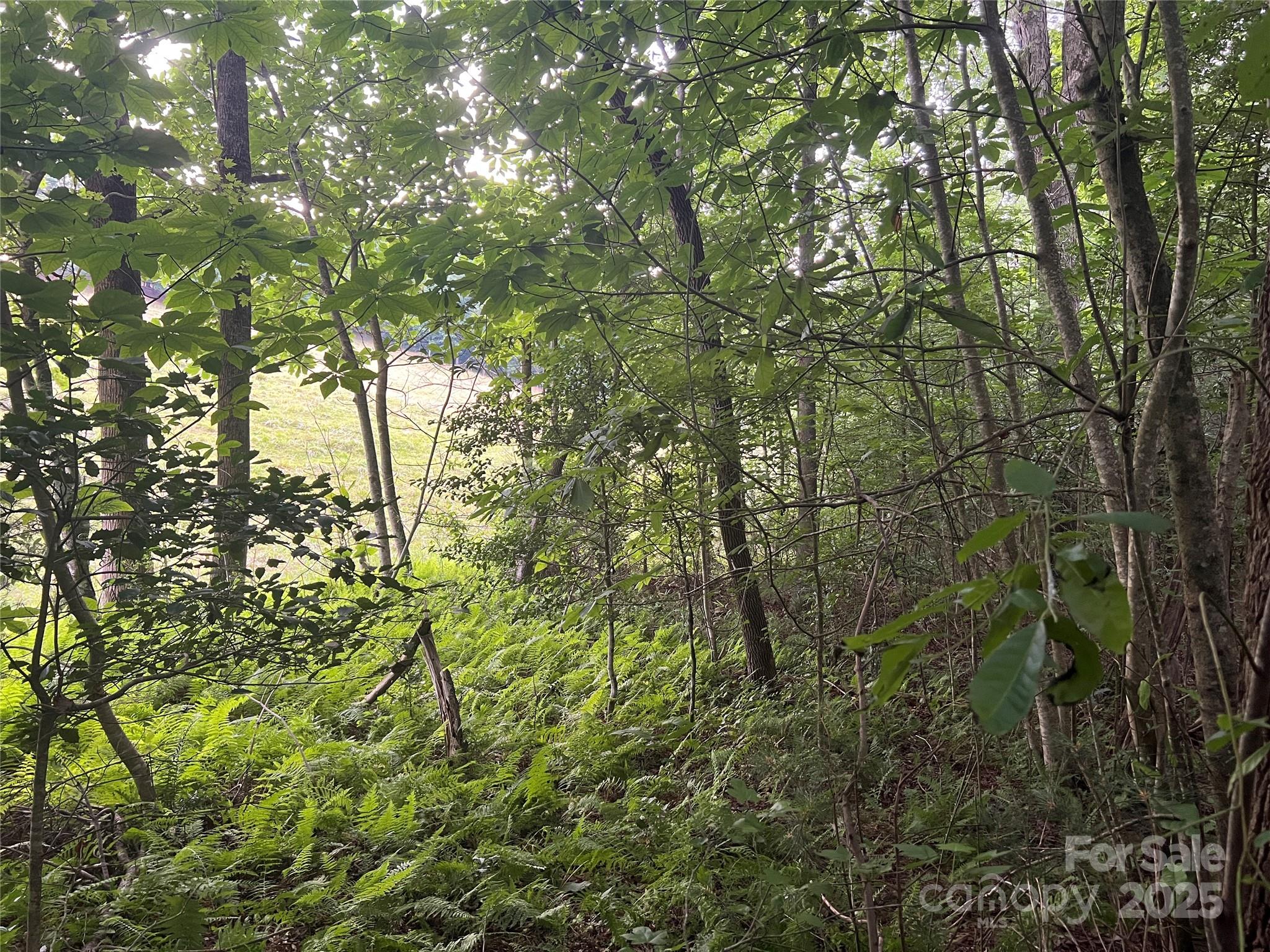 0 Browning View Road Morganton, NC 28655 - Photo 40 of 41 Gallery Image 40