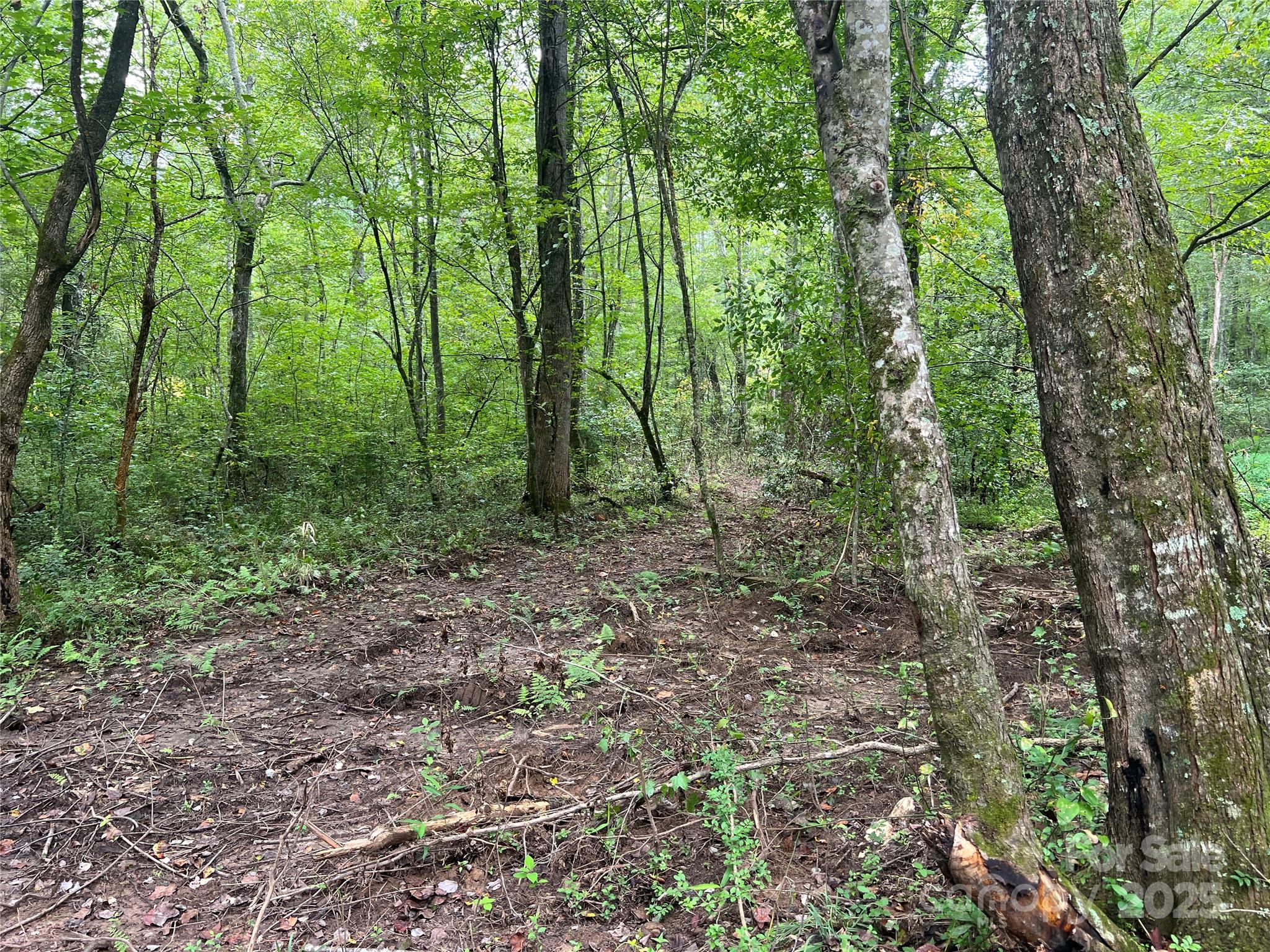 0 Browning View Road Morganton, NC 28655 - Photo 5 of 41 Gallery Image 5