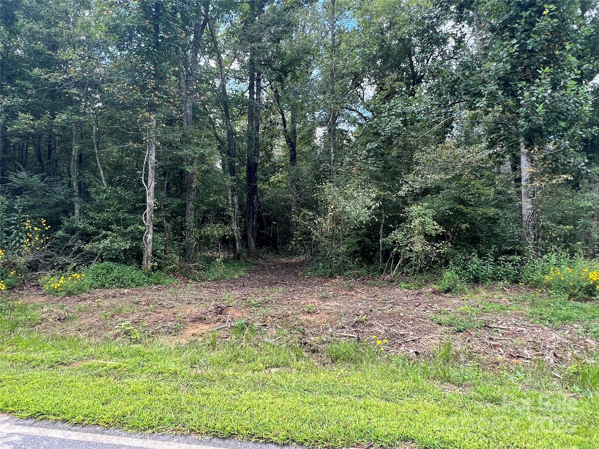 0 Browning View Road Morganton, NC 28655 - Photo 6 of 41 Gallery Image 6