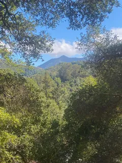 a view of a houses of a yard
