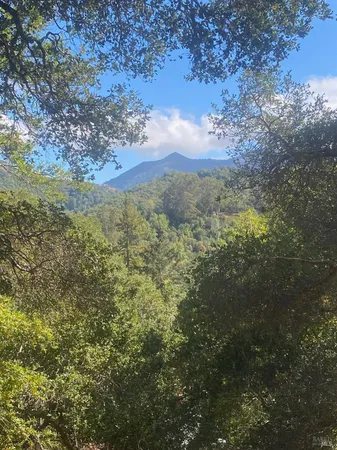 a view of a houses of a yard