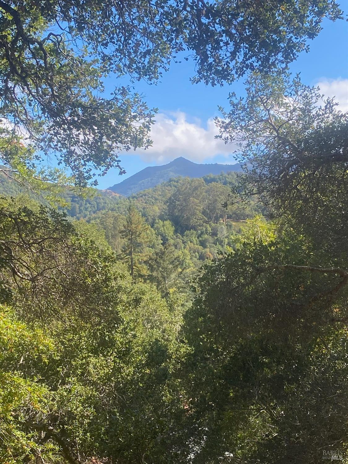 a view of a houses of a yard