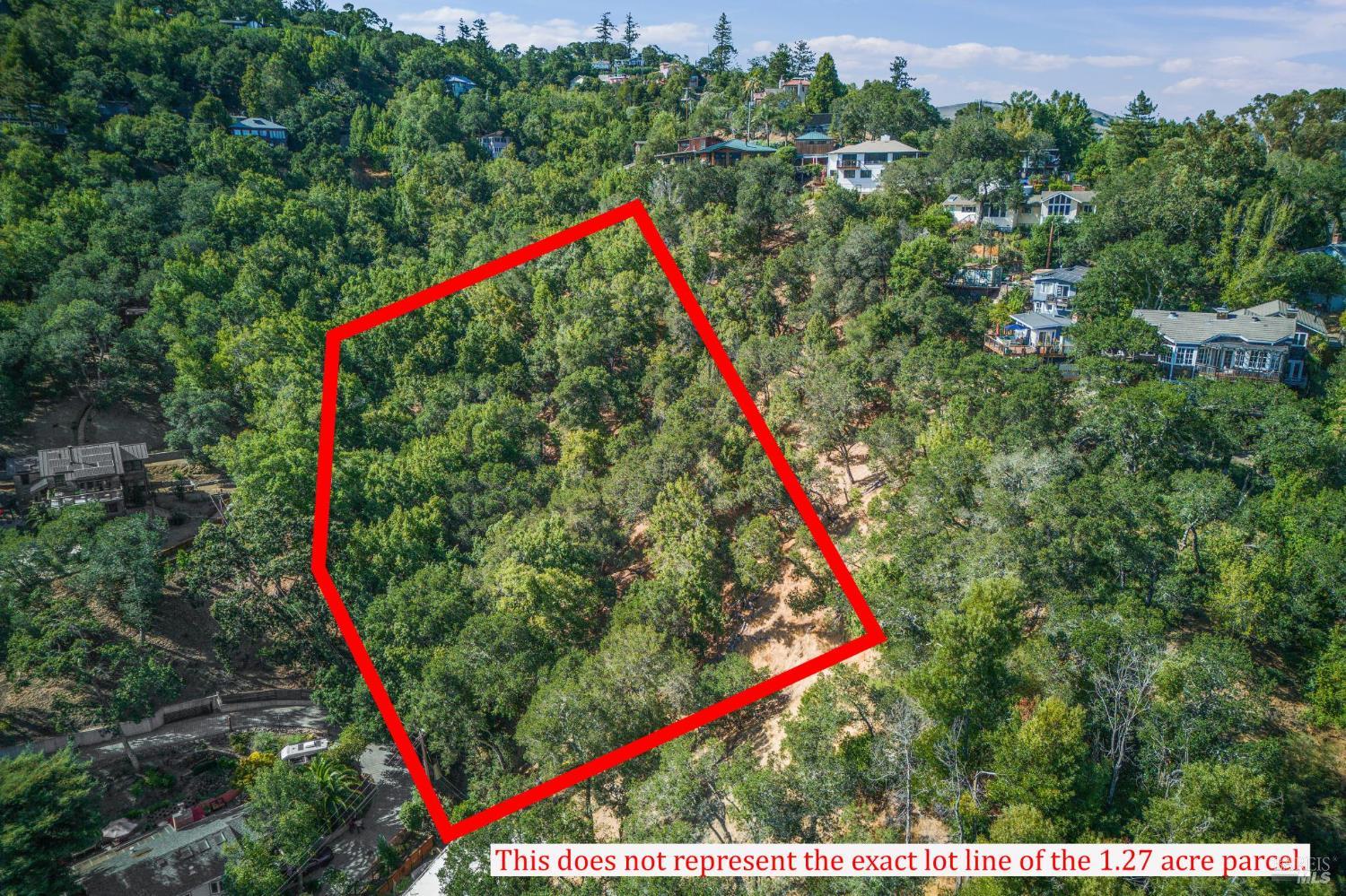 0 Valley Road Fairfax, CA 94930 - Photo 5 of 8 a view of a park with large trees and plants