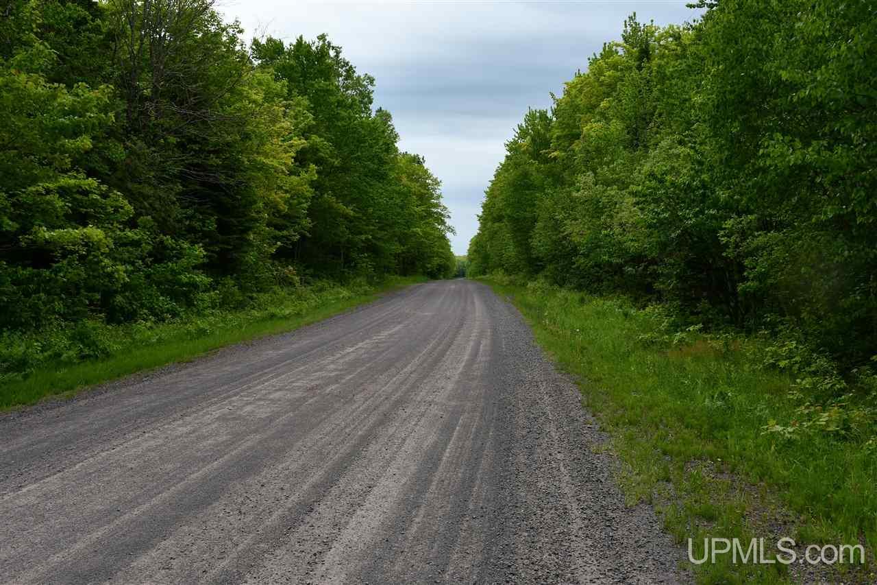 Tbd Mud Lake Road Lake Linden, MI 49945 - Photo 3 of 28