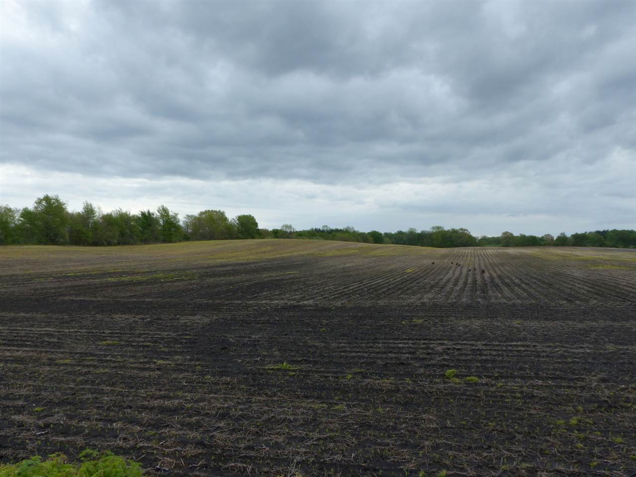 Smilax Road North Liberty, IN 46554 - Photo 3 of 4