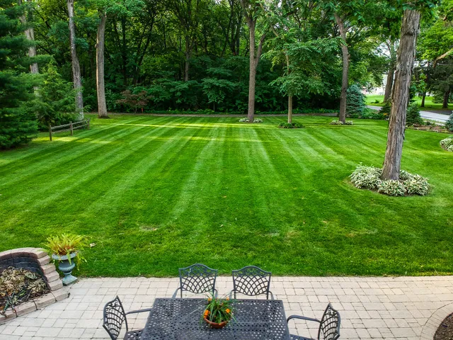 a view of a backyard with a garden