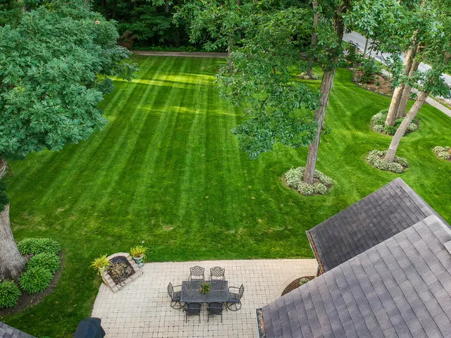 a view of yard from a patio