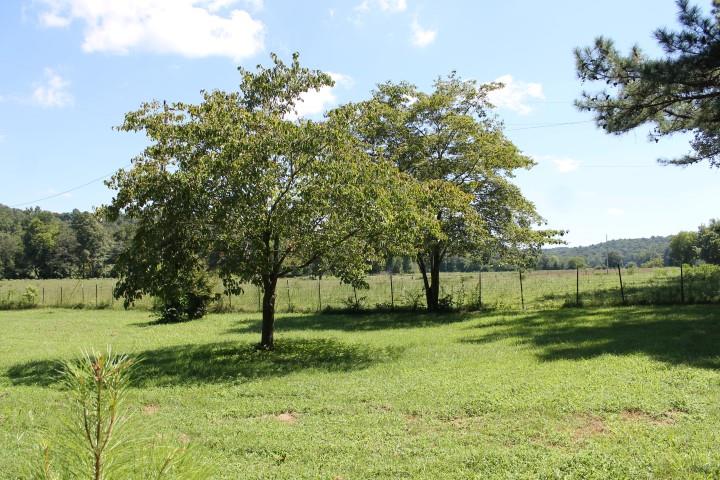 1314 Upper Standing Rock Road Dover, TN 37058 - Photo 10 of 12 Gallery Image 10