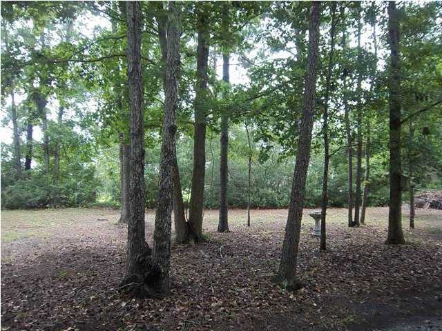 5024 Pleasant Grove Road Walterboro, SC 29488 - Photo 4 of 4 Additional Photo