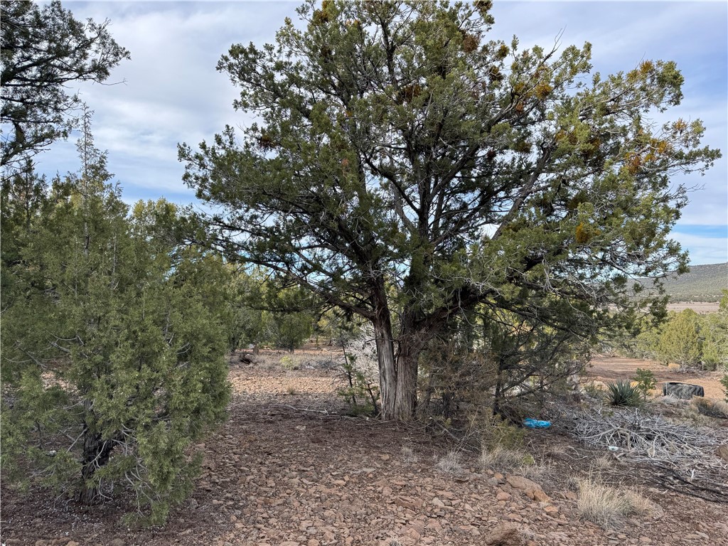 34745 West Running Shadow Road Seligman, AZ 86337 - Photo 5 of 52