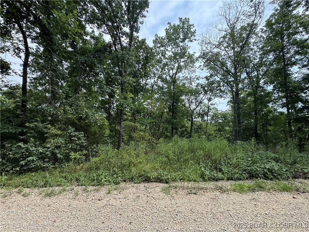Cook Road Gravois Mills, MO 65037 - Photo 2 of 3
