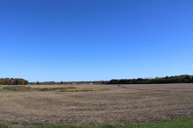 0 Panhandle Road Delaware, OH 43015 - Photo 2 of 7 1a