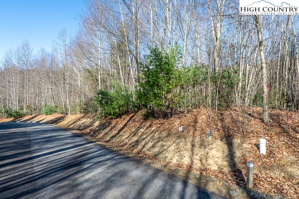 Ll4 Woodlake Loop Road Elk Park, NC 28622 - Photo 2 of 37