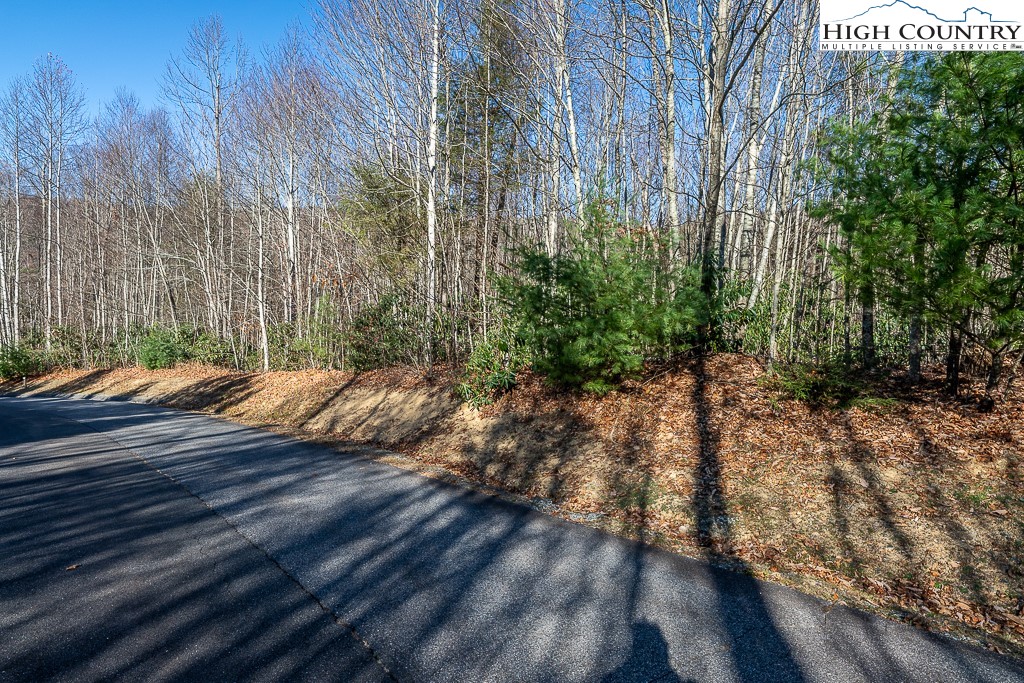 Ll4 Woodlake Loop Road Elk Park, NC 28622 - Photo 23 of 37