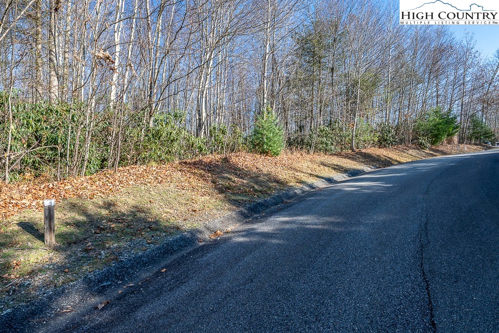 Ll4 Woodlake Loop Road Elk Park, NC 28622 - Photo 5 of 37