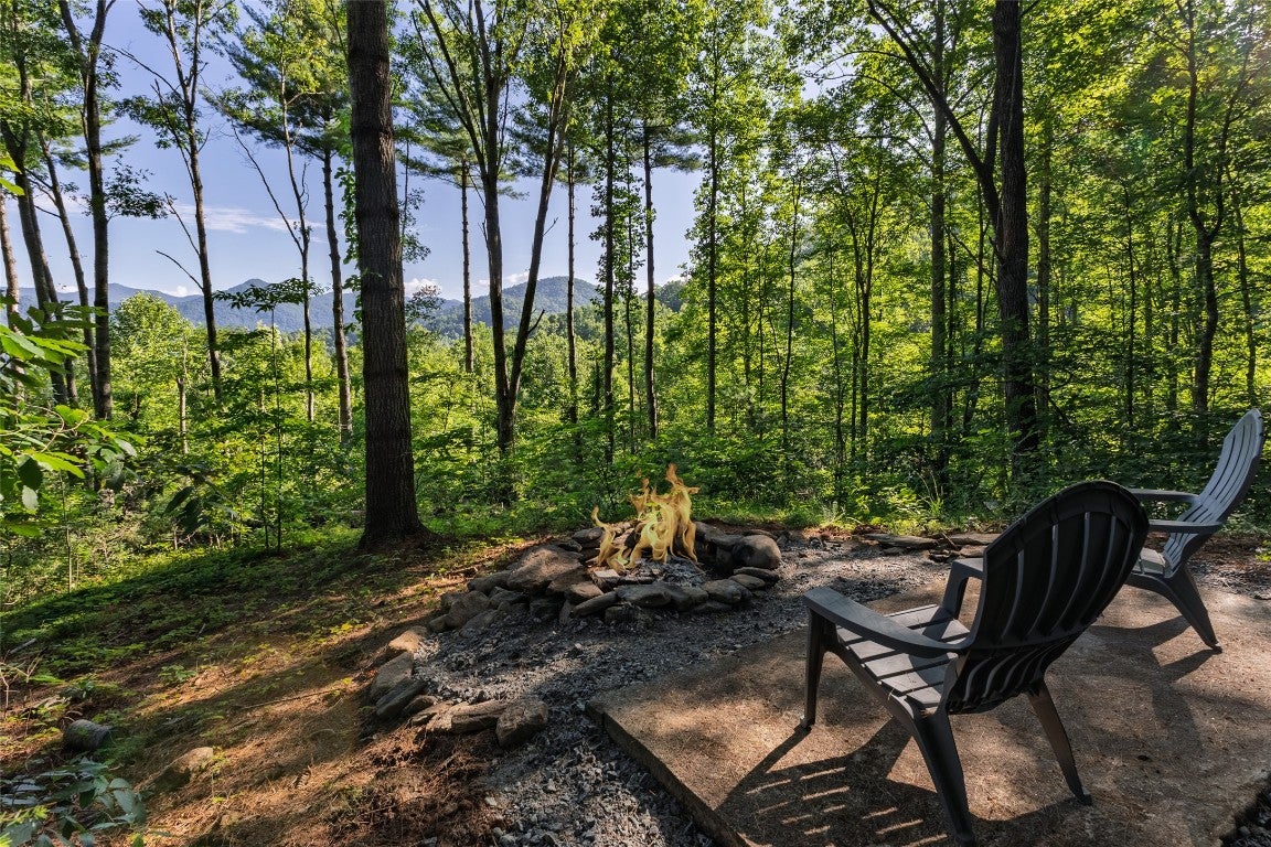 765 Nicholson Cove Road Cullowhee, NC 28723 - Photo 13 of 19 Gallery Image 13