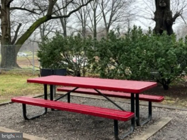 a view of a park with large trees