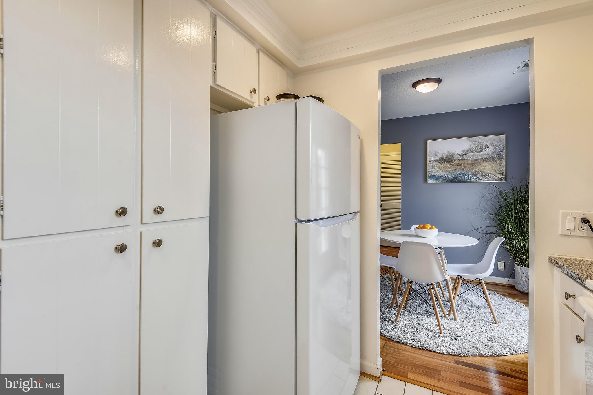 4900 29th Road South, Unit C1 Arlington, VA 22206 - Photo 13 of 41 Tons of storage space & new refrigerator (2021)