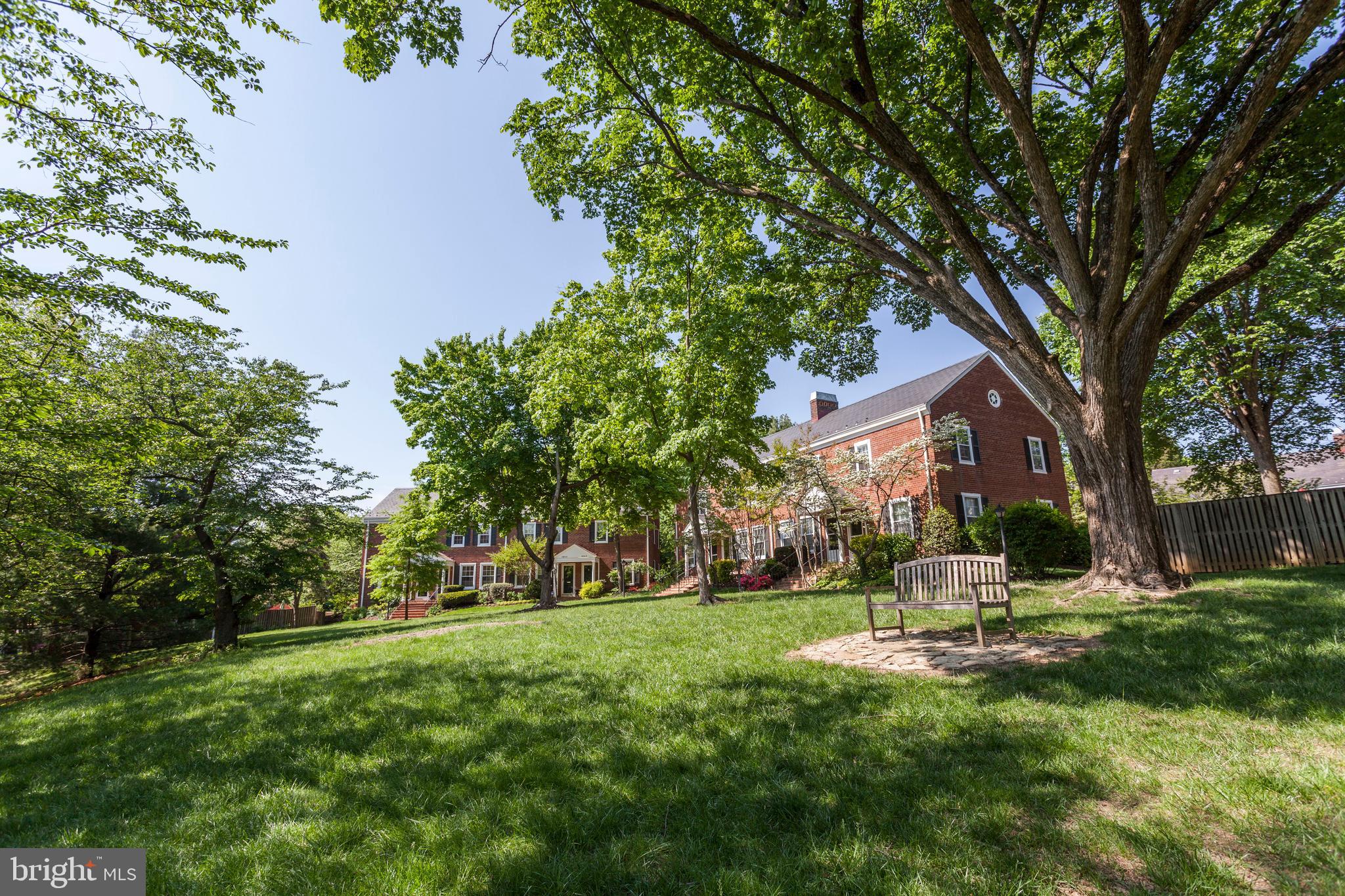 4900 29th Road South, Unit C1 Arlington, VA 22206 - Photo 36 of 41 Beautiful common grounds