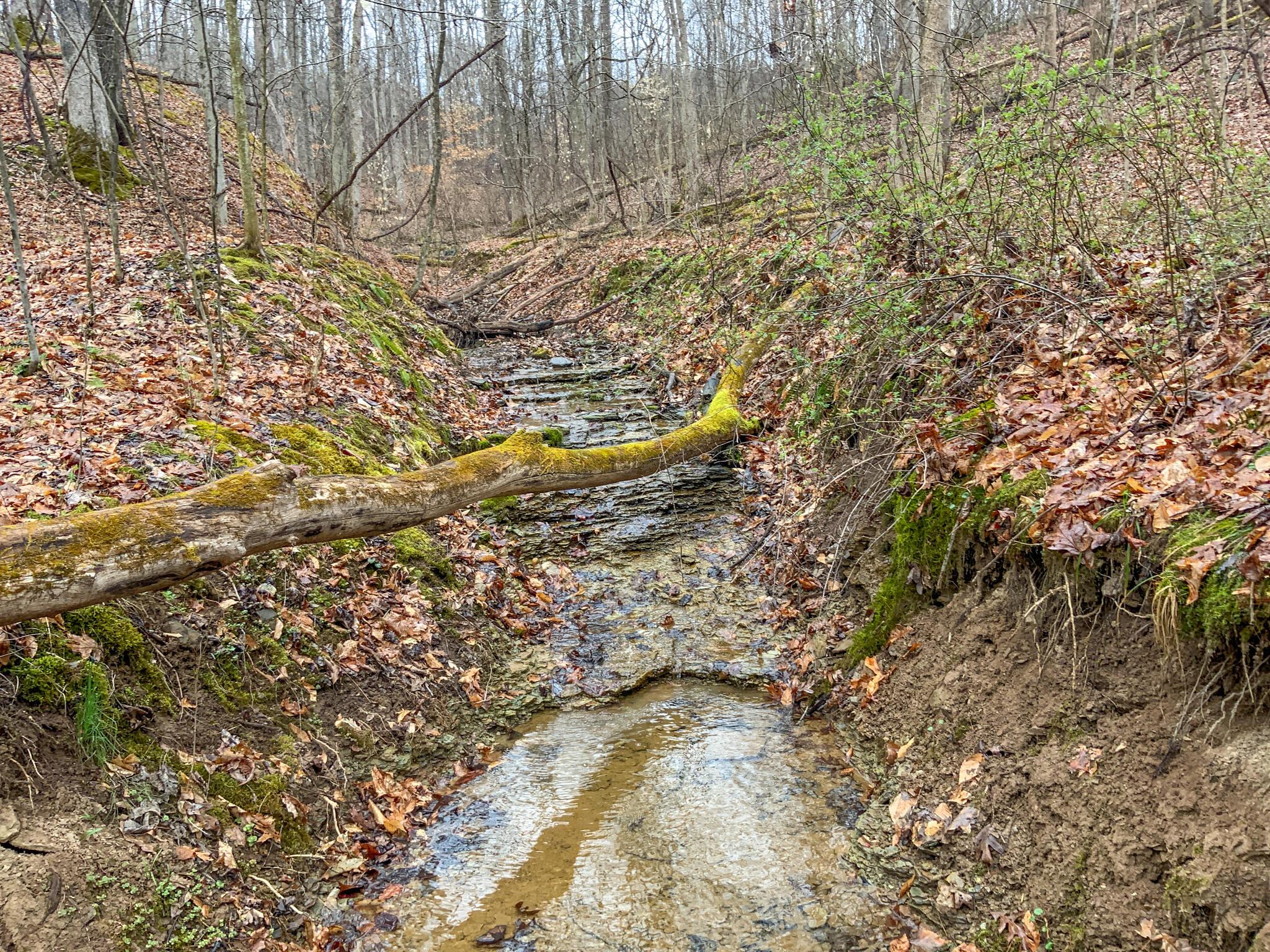 0 Twp Road Caldwell, OH 43724 - Photo 21 of 25 IMG_5494