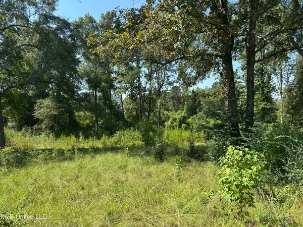 $75,900 | 273 White Oak Drive, Raleigh, MS 39153