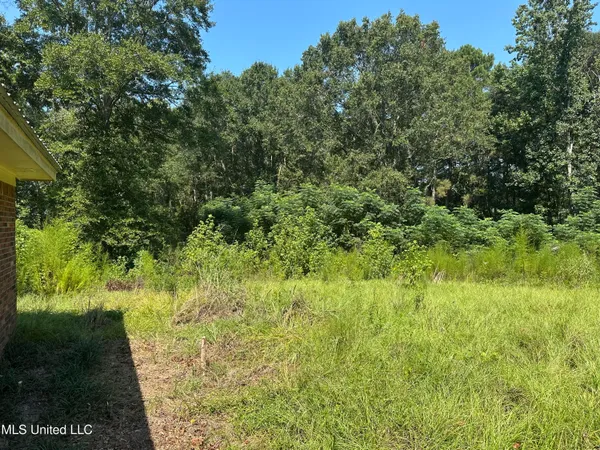 $75,900 | 273 White Oak Drive, Raleigh, MS 39153