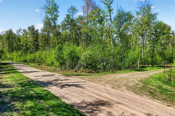 $46,999 | Lot 41 Horse Crk Trail, Ojibwa, WI 54862