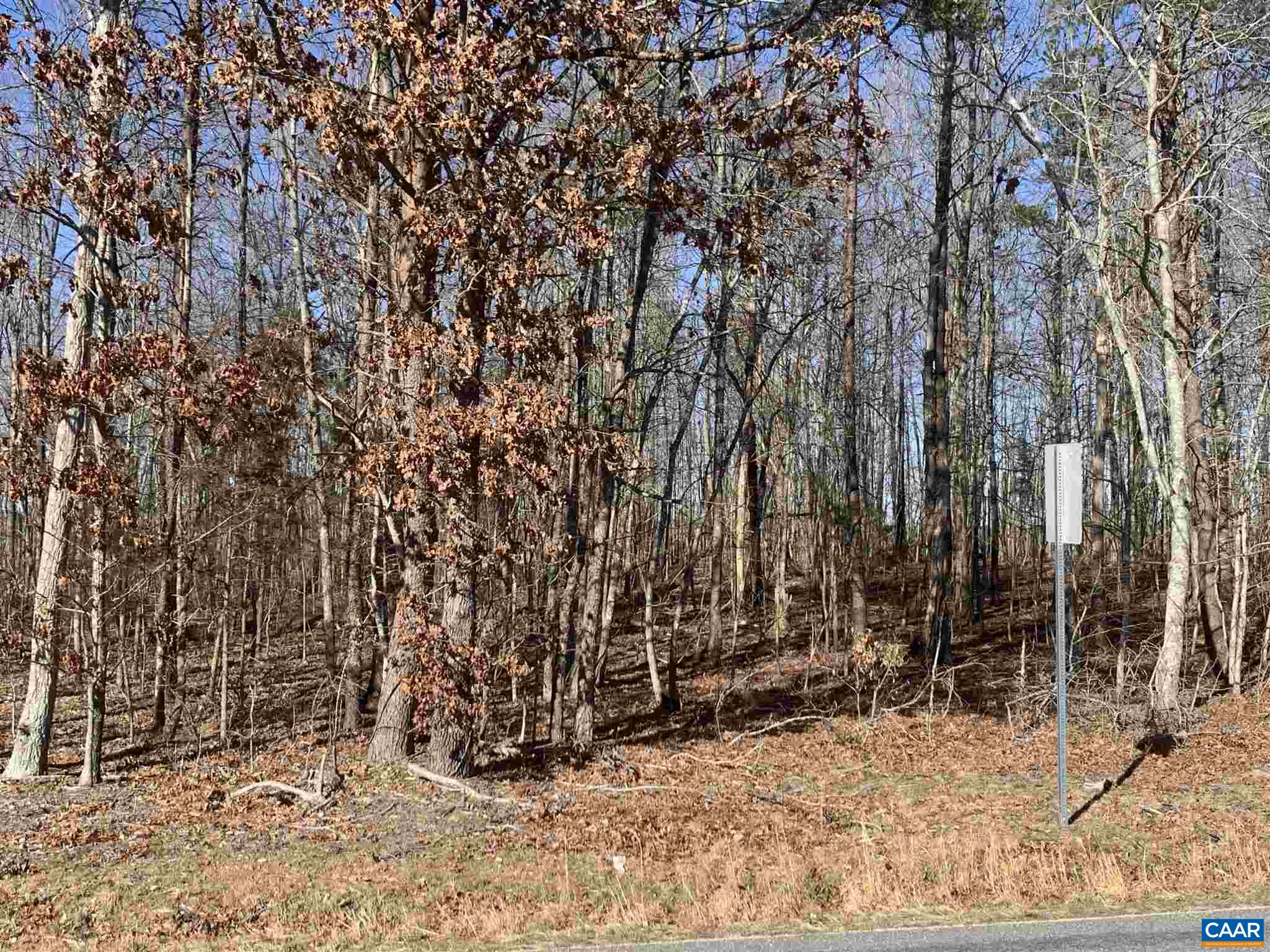 3233 Ruritan Lake Road Scottsville, VA 24590 - Photo 1 of 7 Gallery Image 1