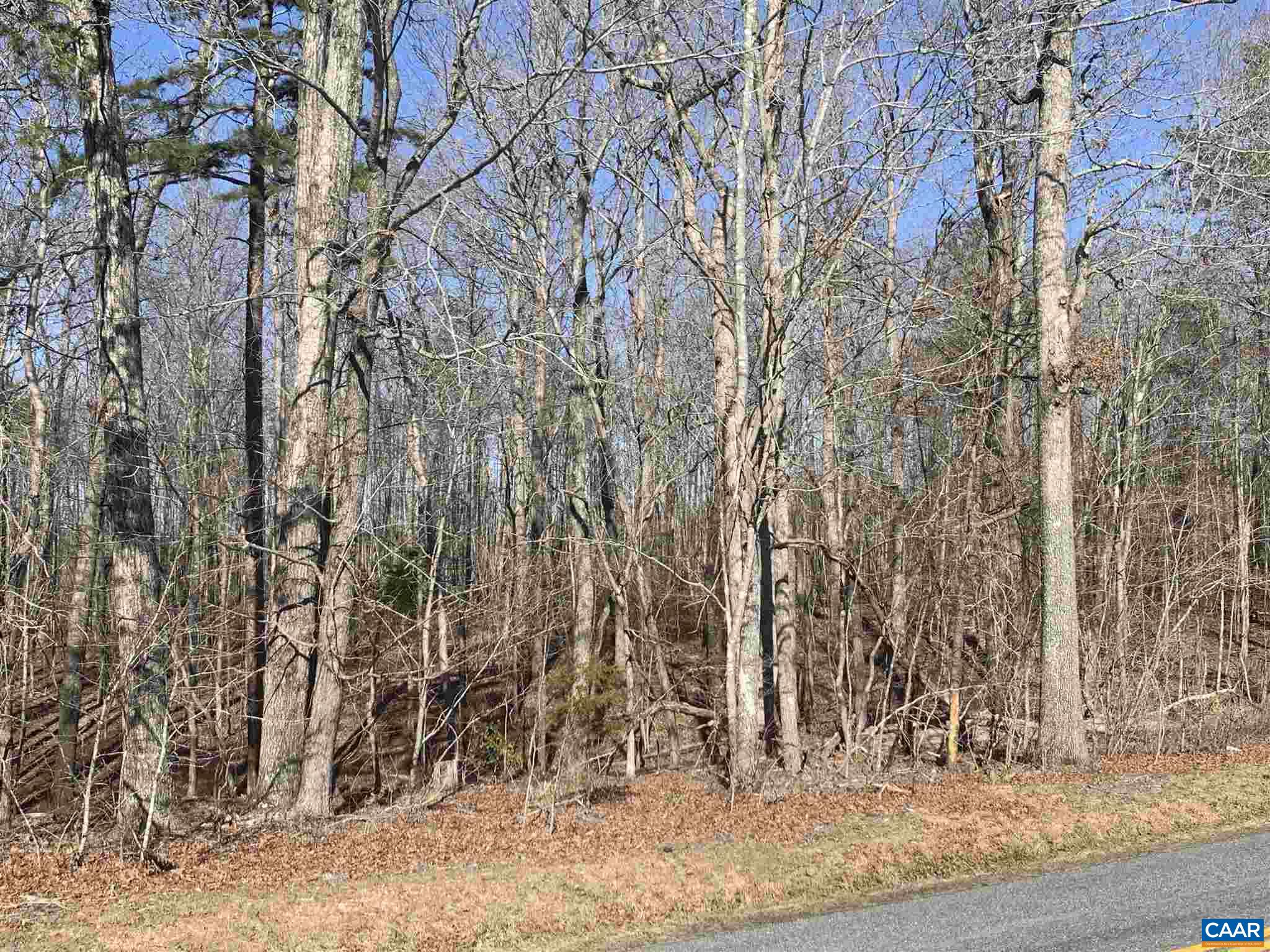 3233 Ruritan Lake Road Scottsville, VA 24590 - Photo 3 of 7 Gallery Image 3