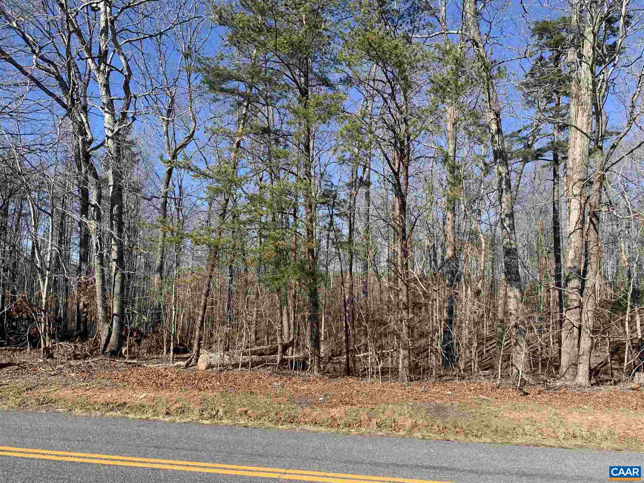 3233 Ruritan Lake Road Scottsville, VA 24590 - Photo 4 of 7 Gallery Image 4