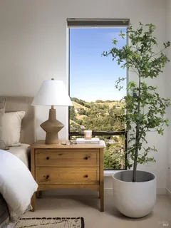 a view of living room with furniture and a potted plant