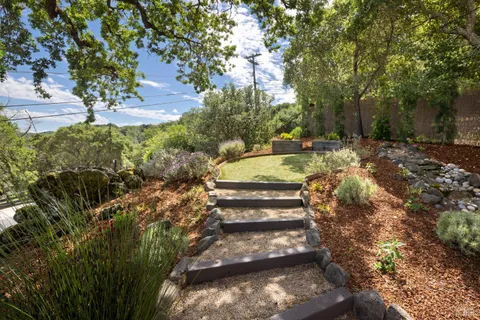 a view of a yard with plants
